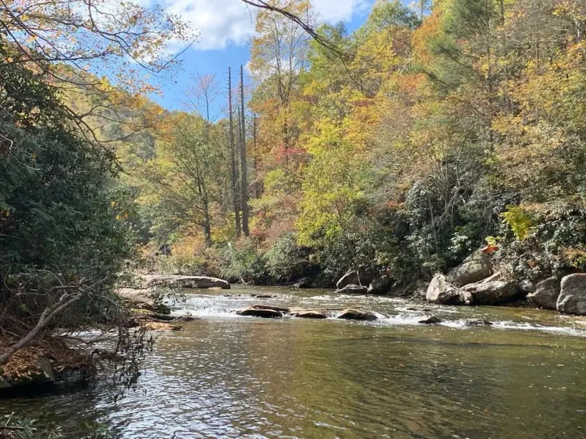 New Home on South Toe River, Pet Friendly - Image 1