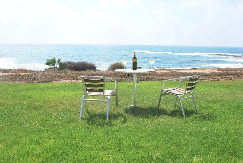 First Line Peaceful location Private Large HEATED POOL, Villas for Groups - Image 1