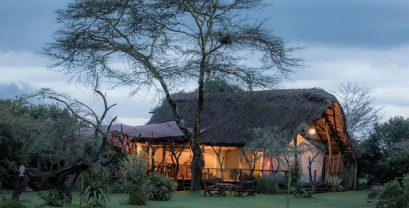 Ekorian's Mugie Camp - Image 1