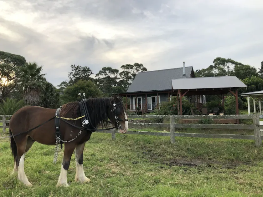 Peppergrove Cottage - Image 1
