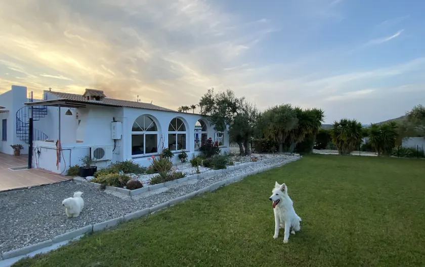 Charming finca with swimming pool, garden and lots of space - Image 1