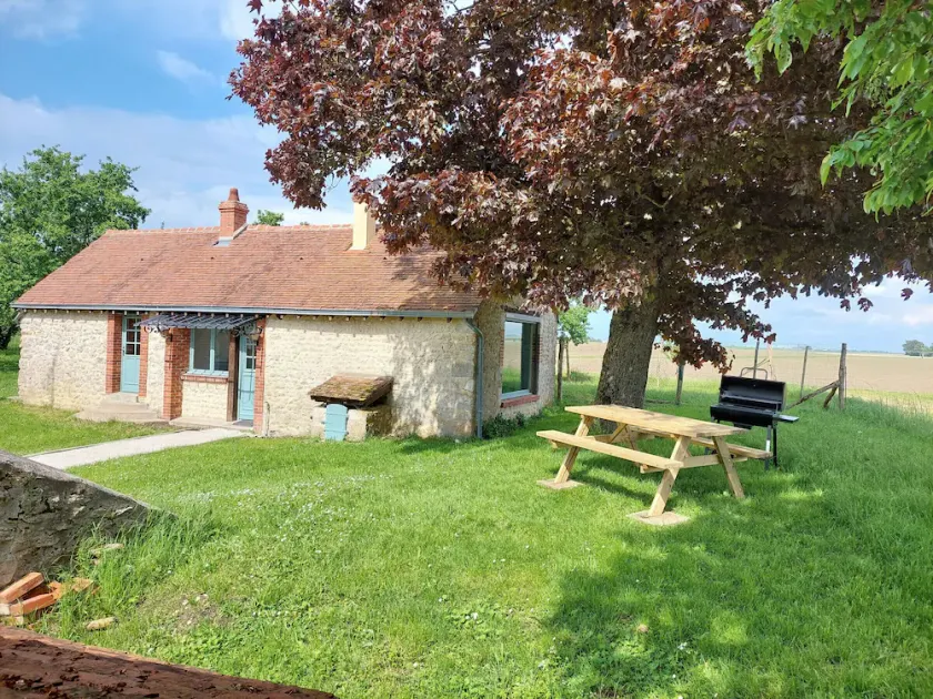 Maison de charme en pleine nature avec verger et activités familiales à Gémigny. - Image 1
