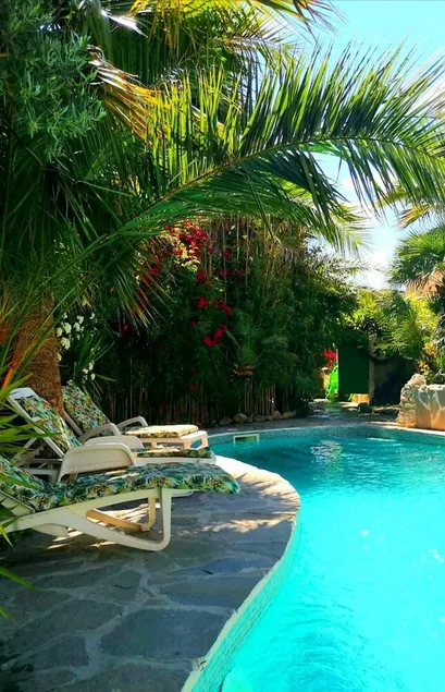 Room-peaceful Private Garden Studio for - Image 1