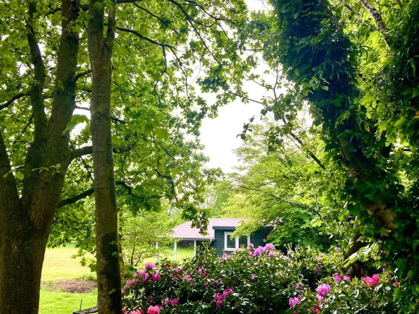 Lütje Nüst – Charming Chalet on the North Sea - Image 1