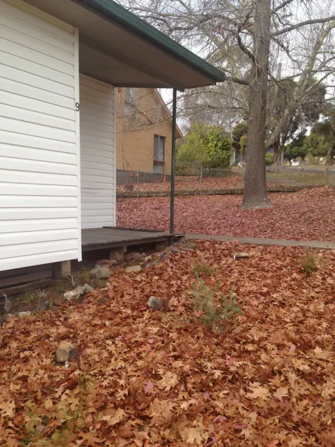 Snow Gum Cottage - Talbingo experience - Image 1