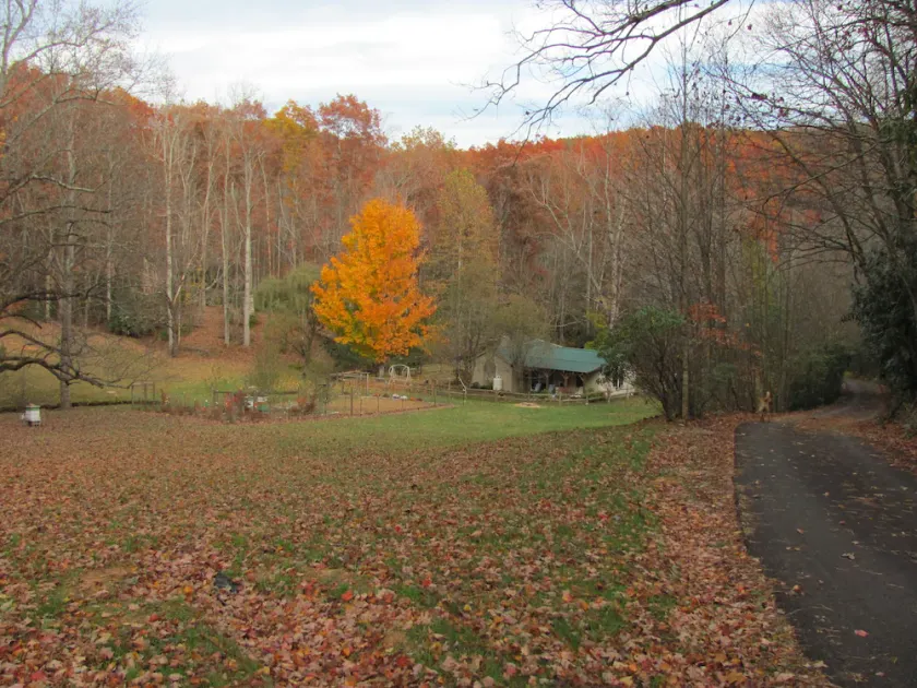Abgelegenes Cottage mit 1 Schlafzimmer im malerischen Patrick County, VA - Image 1