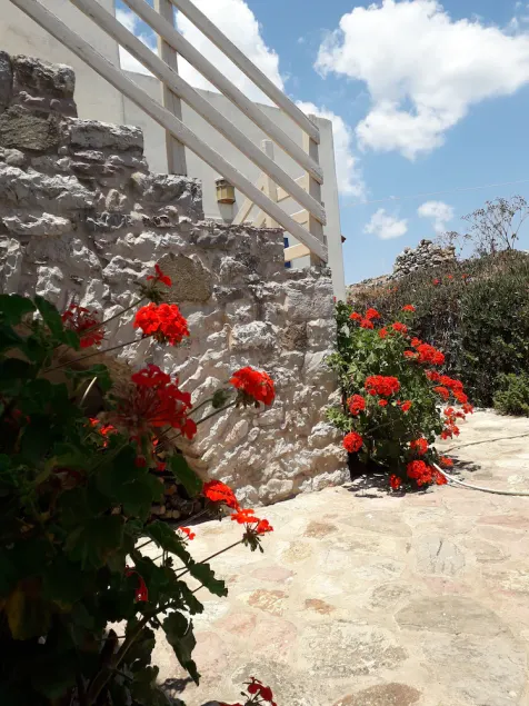 STONE HOUSE - Image 1