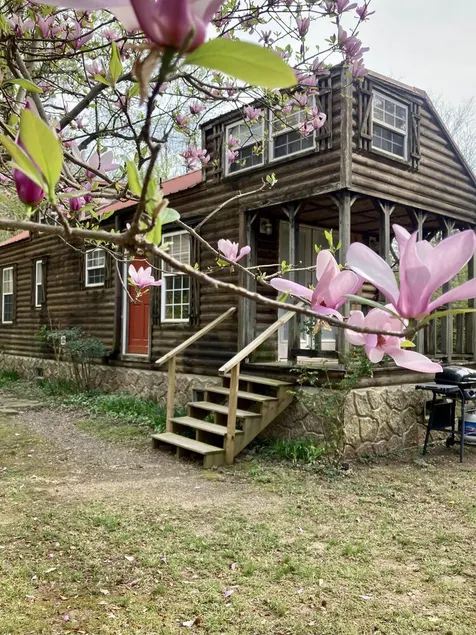 Sunny Brook - Sunny Brook Cabin, wooded, private with stream - Image 1