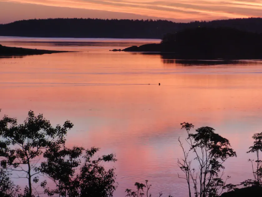 Beautiful Sunrises over Campobello Island & Passamaquoddy Bay at Lupine Cottage - Image 1