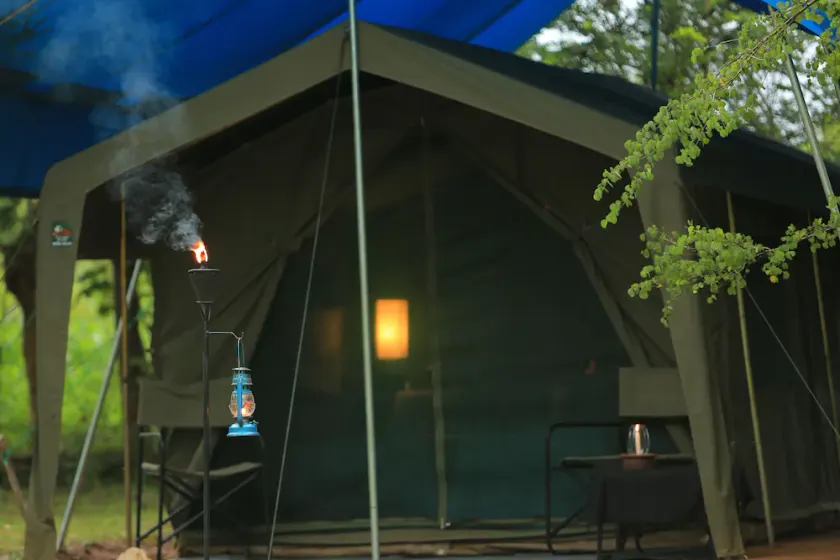 Family Glamping Bordering Yala National Park - Image 1