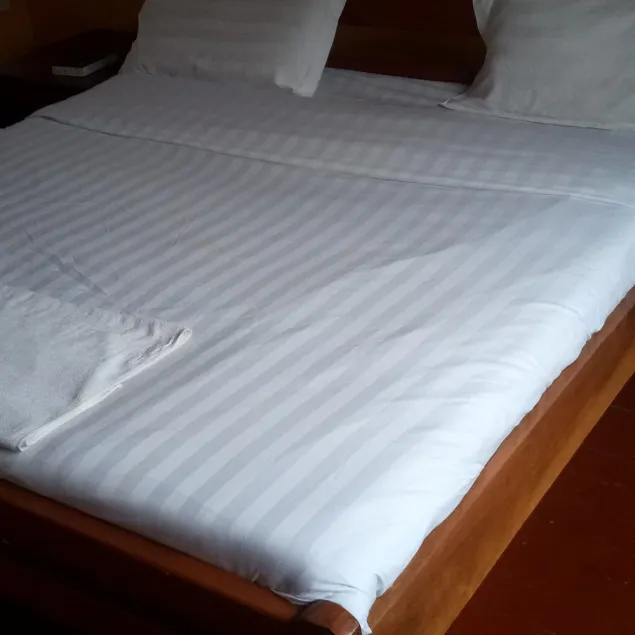 Rigena Lions Hotel - Image 1