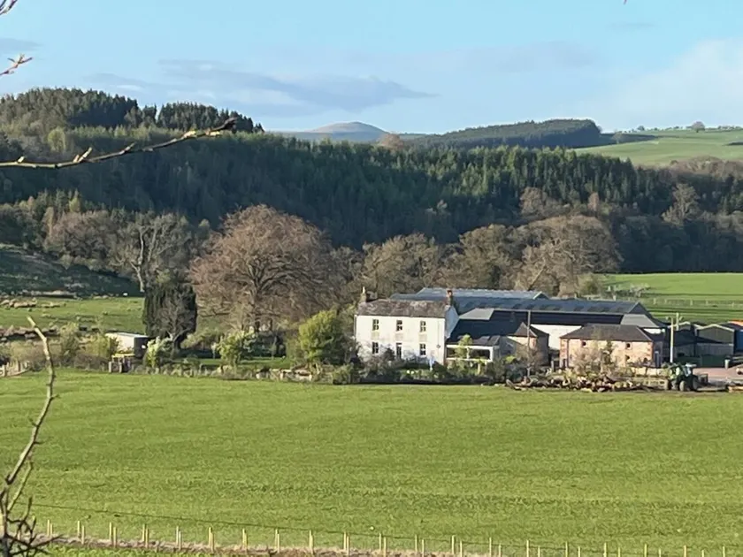 Cosy 2-bed Cottage With Garden Near Carlisle - Image 1