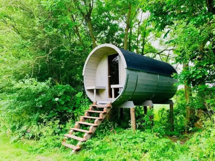 The Treehouses – Two Cozy Nature Escapes Near Amsterdam - Image 1
