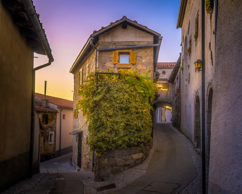 500yo Historic House with Unique Panoramic Terrace - Heart of Vipava Wine Valley - Image 1