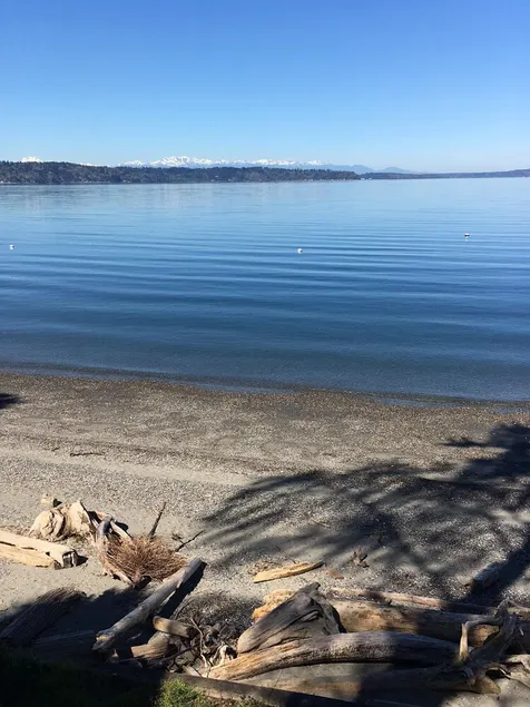 Waterfront Beach Apartment 15 Min From Seattle - Image 1