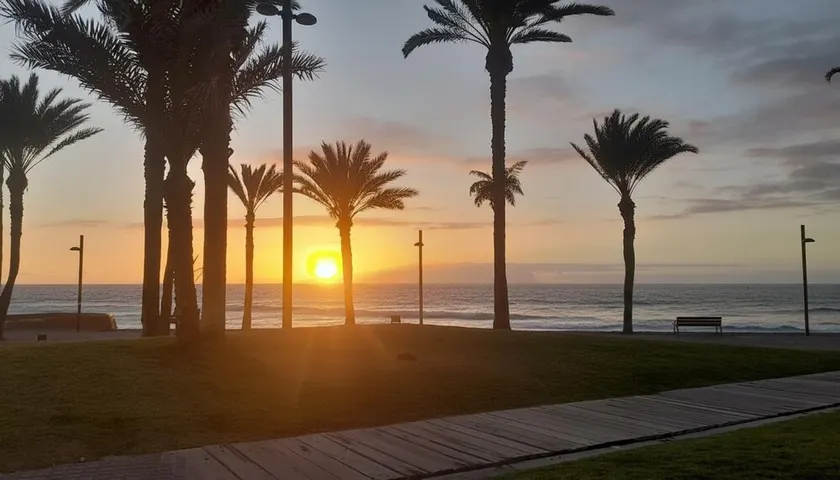Homestay Studio in Los Cristianos - Image 1