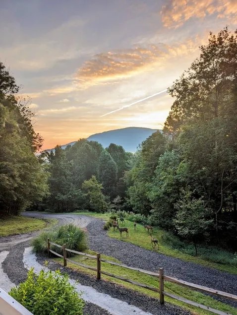Walking distance to downtown/beautiful mountain views. - Image 1