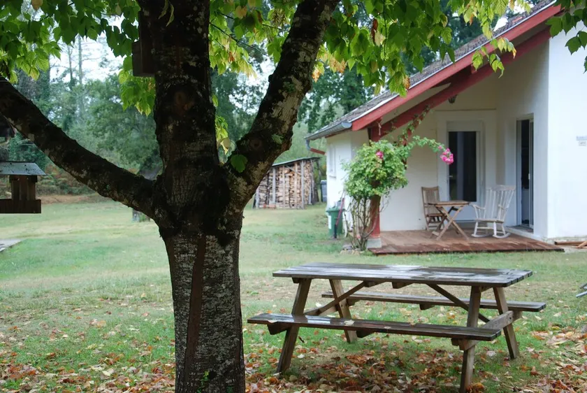 In the shade of the great oaks or in front of a roaring fire - Image 1