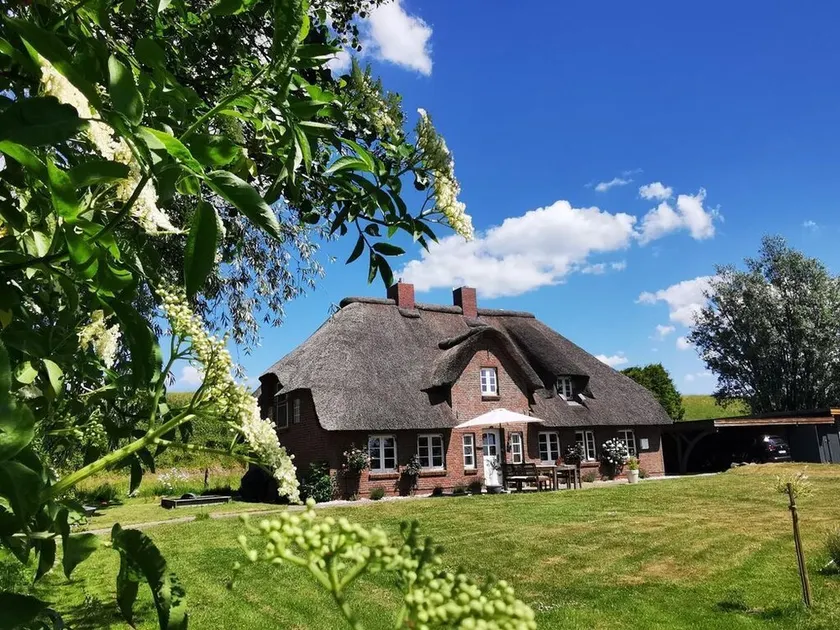Reetkate Kaltenhoern - Image 1