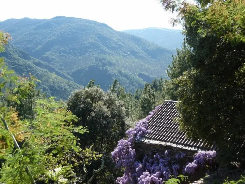Återställd fårfågel i Cevennes - Image 1
