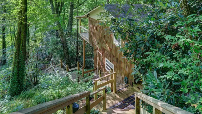 Mountain Laurel Tree House - Image 1
