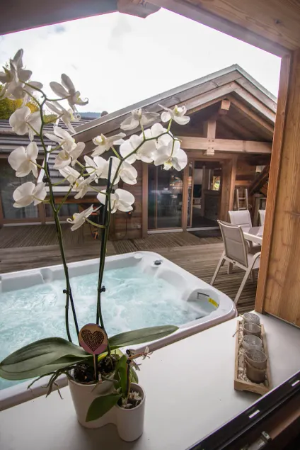 _L'Essentiel_ Chalet ***** luxurious - cosy - modern - sleek with spa - sauna. - Image 1