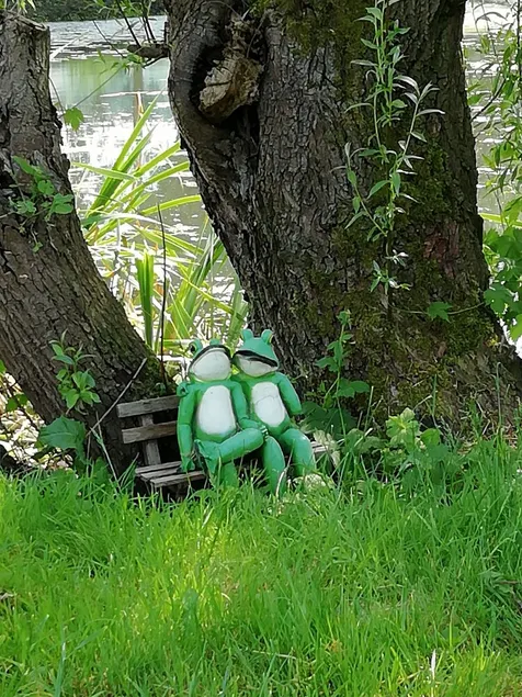Am Froschteich - Image 1