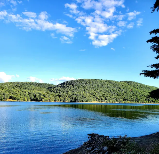 Our happy place - Spectacular views and wildlife! - Image 1