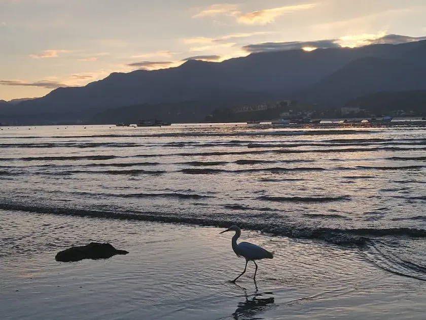 Neue Wohnung, möbliert, voll ausgestattete Küche 600 Meter vom Strand von Tabatinga entfernt - Image 1