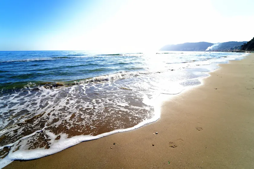 Bed & Breakfast My Home - Alassio - Image 1