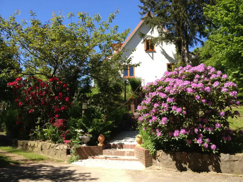 HALE ALOHA Woodstove paradise garden 7person house. Naturepark vacation with dog - Image 1