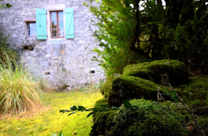 Cahors Countryside Retreat - Image 1