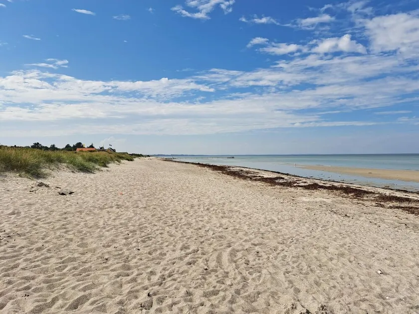 4 person holiday home in Allingåbro - Image 1