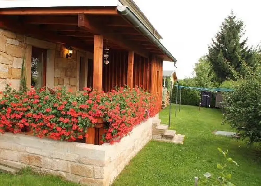 Apartamento 'Jörgs Ferienwohnung Lohmen' com terraço privado, jardim privado e acesso Wi-Fi - Image 1