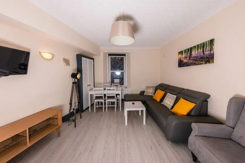 Warm & welcoming City Centre apartment near to Meadows - Image 1