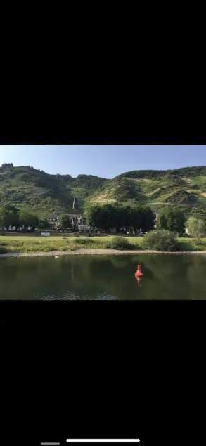 Vacation home Weinblatt with Moselle view - Image 1