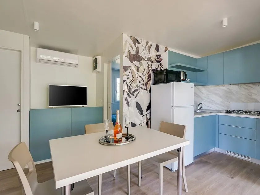 Adriamar Mobile Homes in Camping Park Umag  / Adriamar 2441 Park Umag - Image 1