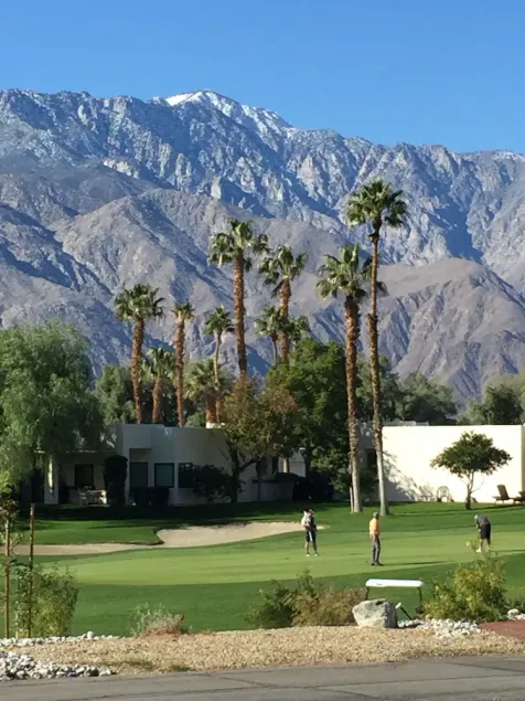 COMPLETELY RENOVATED.  New Listing.  2 Bdrm 2 Bath condo in Desert Princess - Image 1