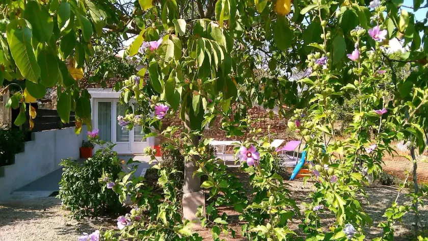 Cottage in campagna - Gonfaron - Image 1