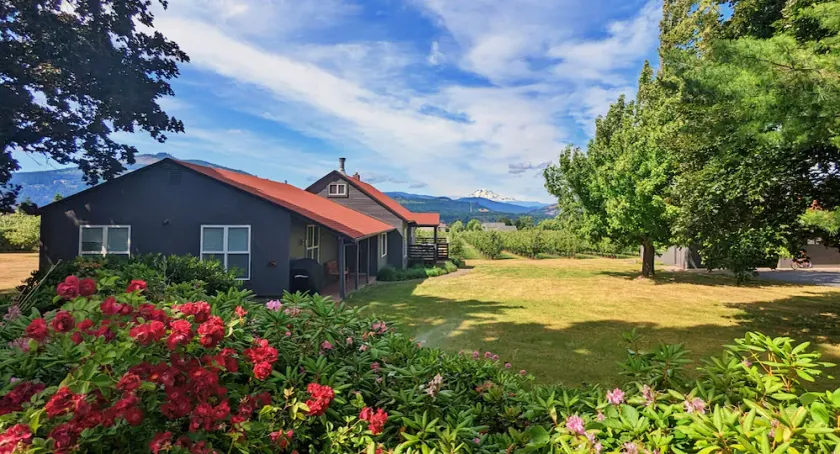 New listing, 4 bed 2.5 bath, amazing view of Mt Adams minutes from Downtown - Image 1