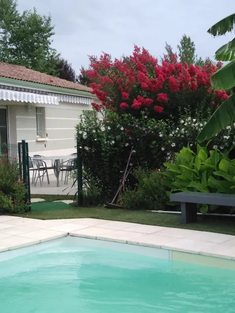 Stille hus med pool og sving på store skovklædte grunde - Image 1