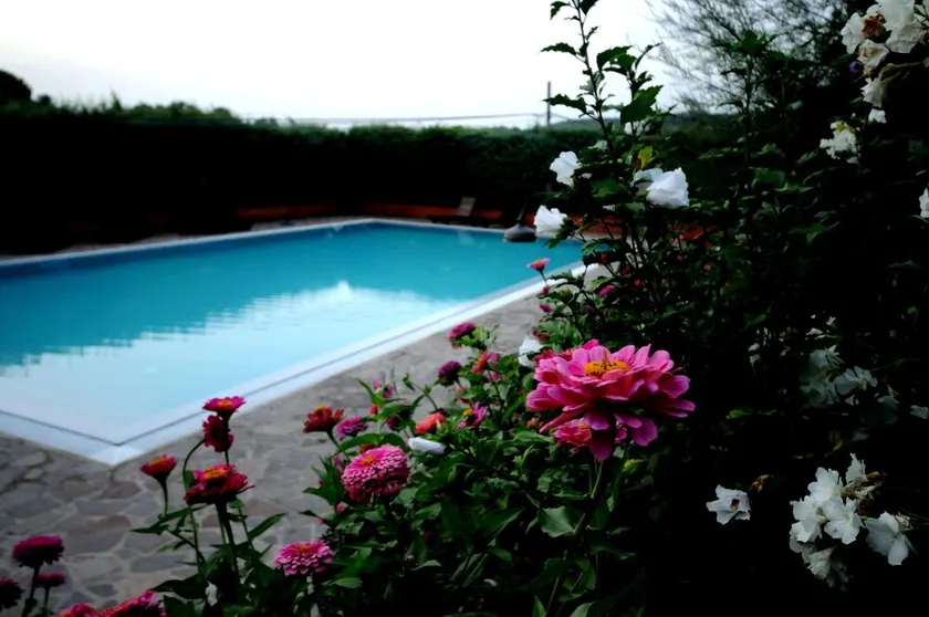 Casa Rondini apartment on the ground of organic farm - Image 1