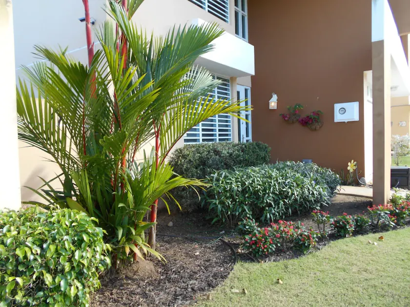 Private home close to BEACH, RAIN FOREST - Image 1