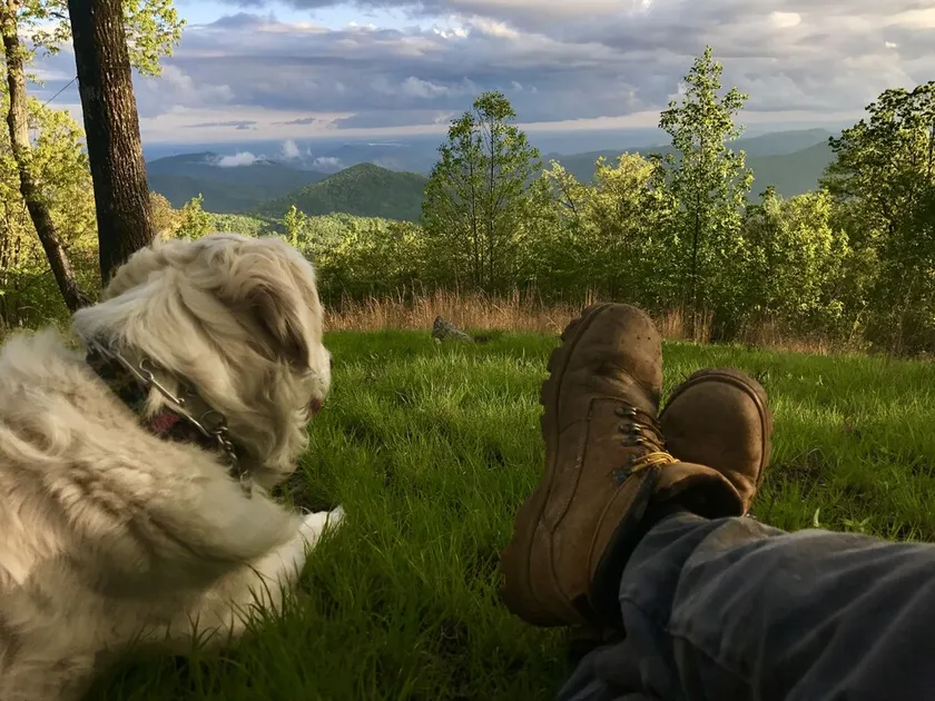 The High Carolew Over Brevard: A Scenic Mountain Escape b / t Asheville & Cashiers - Image 1