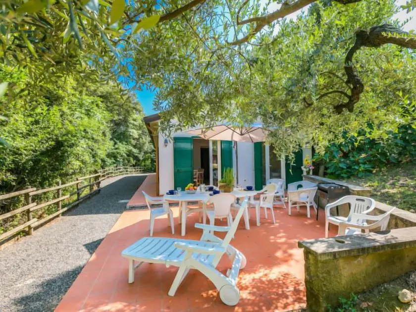 Holiday Home Podere gli Olivi by Interhome - Image 1
