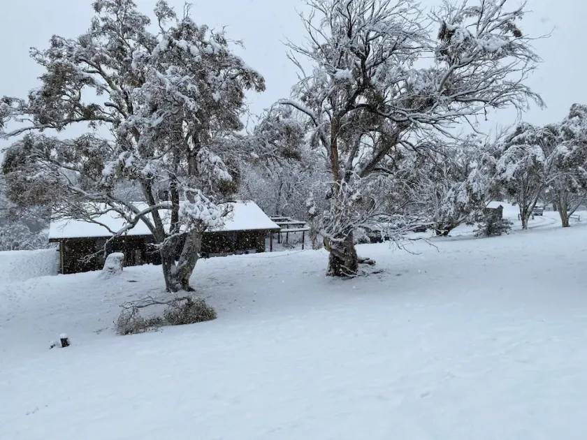 Cabaña de madera rústica en 100 acres en el corazón de las montañas nevadas - Image 1