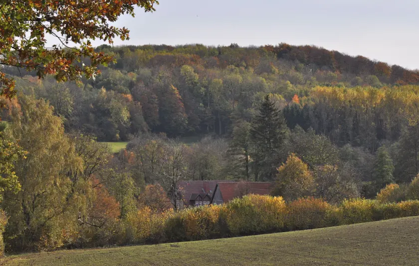 Romantic located, historic water mill in Silberbachtal - Image 1