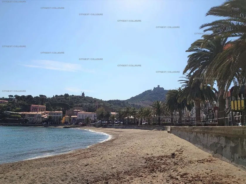 2DOM28 - Nice studio near the beach - Image 1