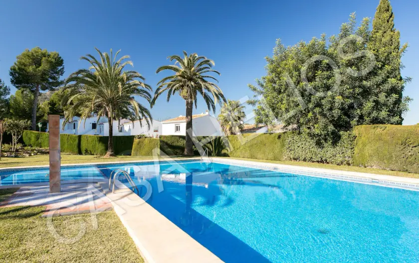 Hola from Helios! (As featured on the TV show 'A Place in the Sun') - Image 1