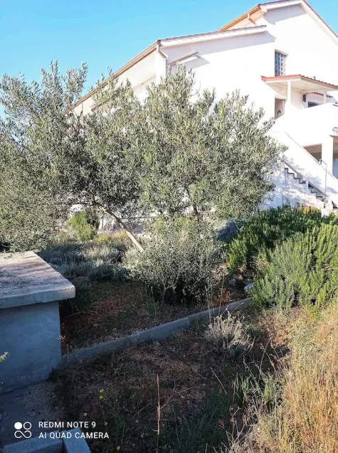Holiday apartment 70 m from the Adriatic Sea - Image 1